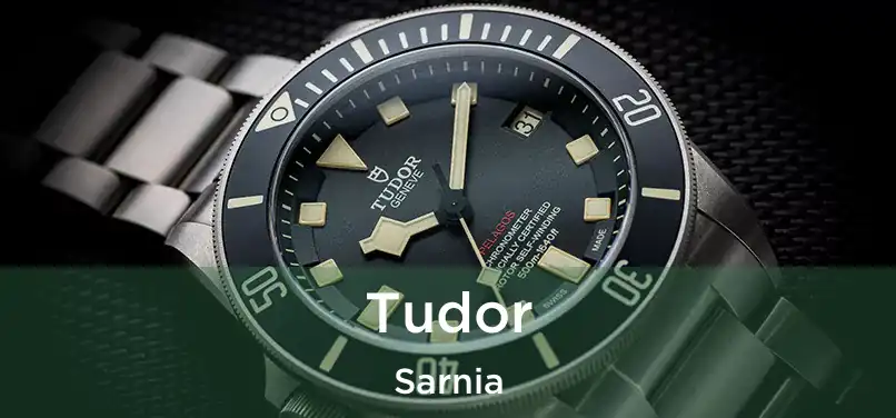  Tudor Sarnia